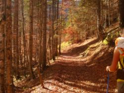 2013-10-26_Schildenstein (051).JPG